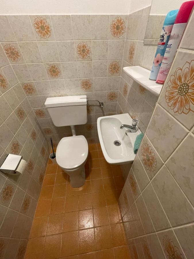 Ferienwohnung Maxi Maishofen Eksteriør bilde